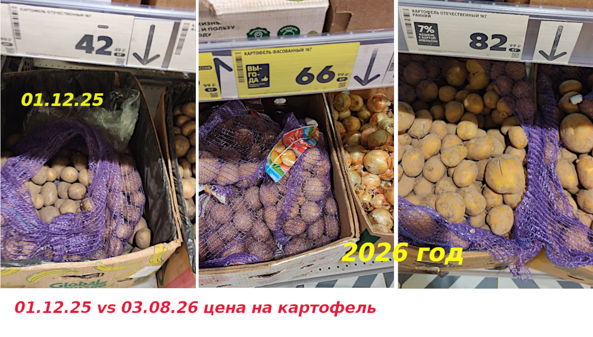 картофель картофель